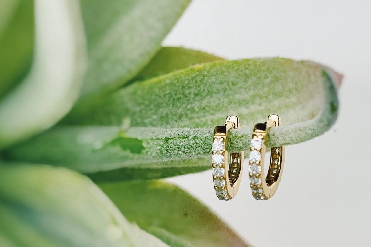 A pair of yellow gold diamond huggies earrings hanging on a succulent.